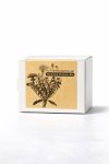 Handmade Shampoo Bar Collection Natural Hair Care Bars 45G