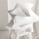 Feather Scatter Cushion Inner 37X37