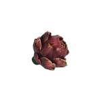 Artichoke Red