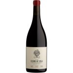 Of Sinai F Niks Pinotage 2024