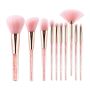 Zoreya Blush & Eye Shadow Brush Set With Crystal Pink Storage Bag