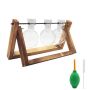 Planter Flower Terrarium & Wooden Stand Bulb Glass Vase Propagation Station