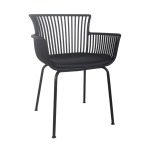 Amanzi Armchair With Cushion Black Beige Green - Black & Green