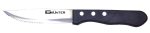 Steak Knife Broad Blade - Plastic Handle