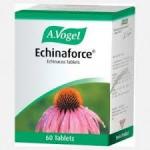 Vogel Echinaforce Tab 60S