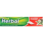 Clicks Herbal Toothpaste 100ML