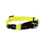 Rogz Utility Control Collar Web - Medium Dayglo