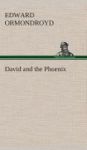 David And The Phoenix Hardcover