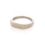 Vista Signet Ring In White Gold - XL Polished