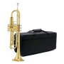 Bb Trumpet Lacquer Plated TR300L