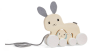 Bigjigs Bunny & Baby Pull-along