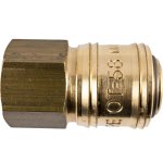 Gav Brass Quick Coupler 3 8"F