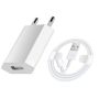 5W USB Power Adapter & Lightning Cable Compatible With Iphones & Ipads -1M