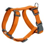 London Rapid Harness - Medium Orange