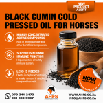 Black Cumin Seed Oil 10ML