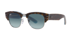 Mega Clubmaster Sunglasses In Tortoise On Blue - Tortoise