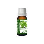 Cilantro - Coriander Leaf - Essential Oil Organic - 10 Ml