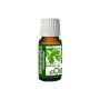 Cilantro - Coriander Leaf - Essential Oil Organic - 10 Ml