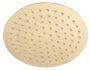 Round Shower Head Gold W21CMXD21CM