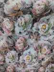 Foil Duchess Satin Printed