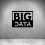 Big Data - Grey L 500 X H 380MM