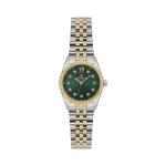 Premium Green Dial Analogue Watch