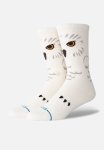 Hedwig Crew - Canvas