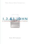 Nbbc 1 2 & 3 John: A Commentary In The Wesleyan Tradition New Beacon Bible Commentary