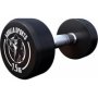 Fixed Dumbbell 7.5KG