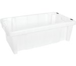 Buy 10 Meat Tray Large C1519 Online Deal