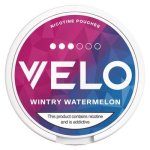 Oral 10MG Wintry Watermelon Nicotine Pouches 20 Pack