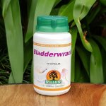 Willow Bladderwrack 60 Capsules