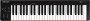 Nektar SE49 49-KEY USB Midi Controller Keyboard
