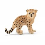 Wildlife - Cheetah Cub