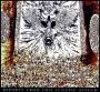 Reports From This Lunatic Asylum -   Import Cd