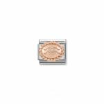 Classic Rose Gold Aquarius Link
