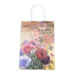 Assorted Cosmos Vintage Bag Large Giftbag