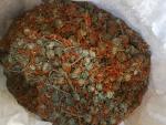 Wild Dagga Leonotis Leonurus Flowers & Petals 1 Kg.