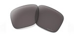 Oakley Holbrook Prizm Grey