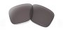 Oakley Holbrook Prizm Grey
