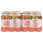 Liqui-fruit Long Life Fruit Juice Breakfast Punch 300ML X 24