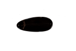 Stealth Rudder Cover Fisha
