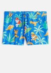 Printed Swimming Trunks - Blue Paw Patrol