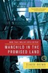 Manchild In The Promised Land