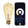 Iot Smart Wi-fi LED Filament Bulb ST64-FW