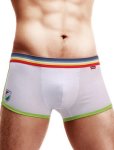 White Boxer With Color Band