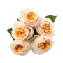 Peony Roses 5 Stems