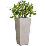 Pinto Plant Pot - Large 950MM X 400MM Flinted White