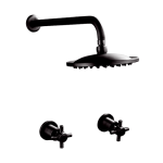 - Shower And Dual Modern Handles Blackened Brass