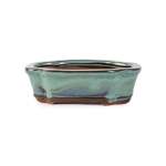 Assorted Glazed Bonsai Pots 6" - Green Rectangle 16.5 X 12 X 5CM